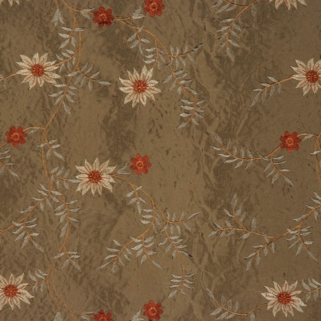 ABOTT – OLIVE 53.5