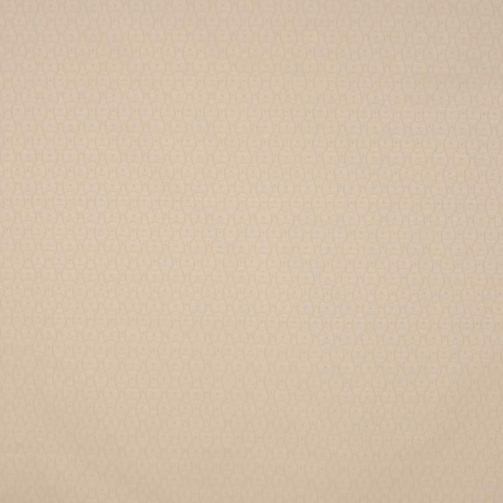 Q880 – 163216 - RM Coco Fabric
