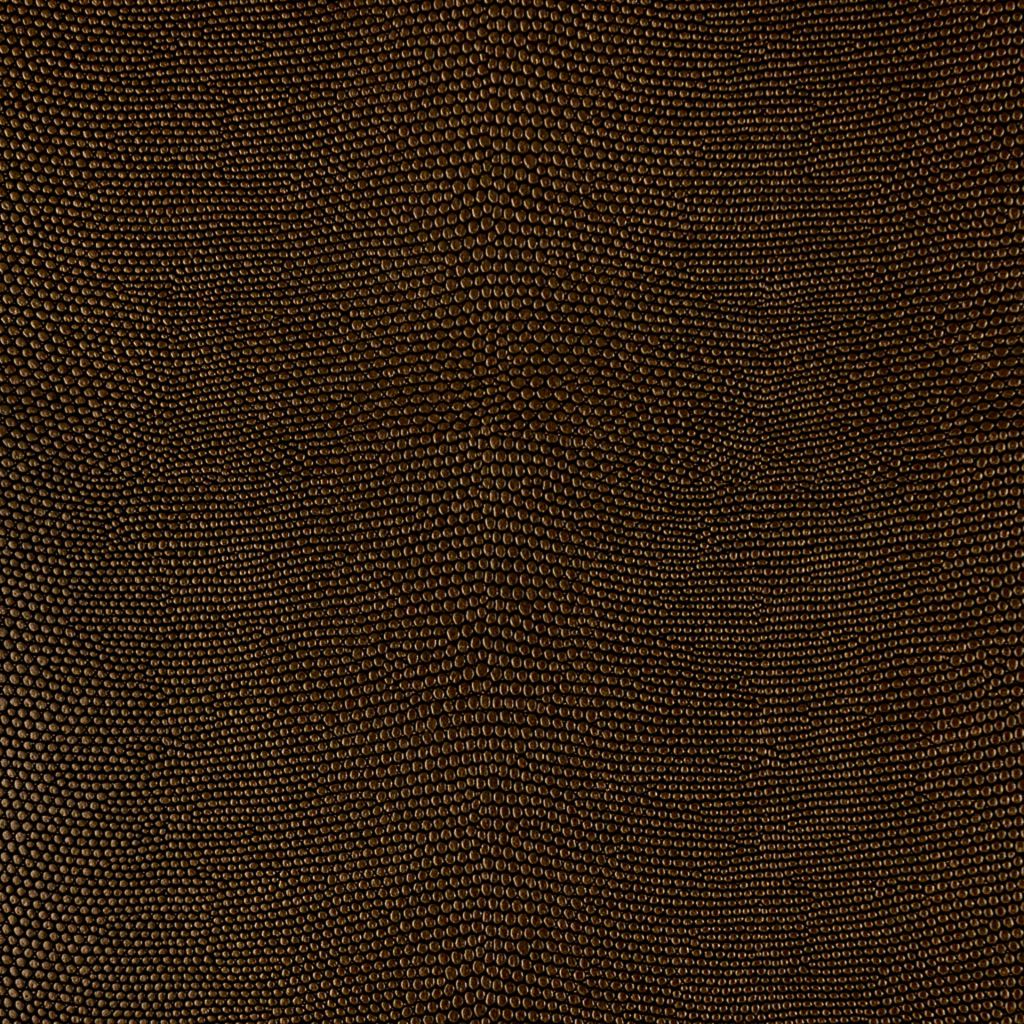 Iguana â Black Gold