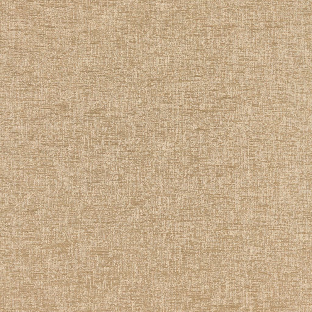 Shimmer â Latte