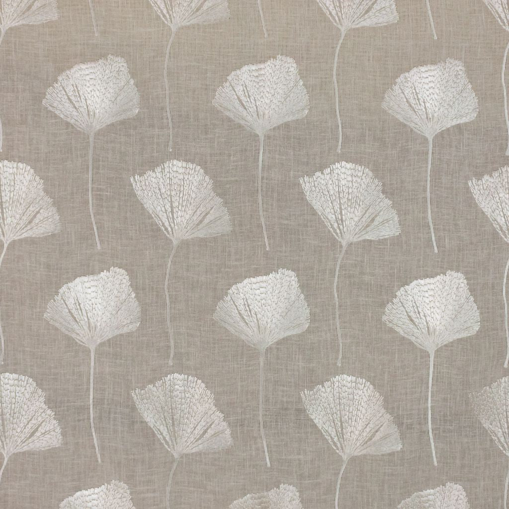 Gingko â Oyster