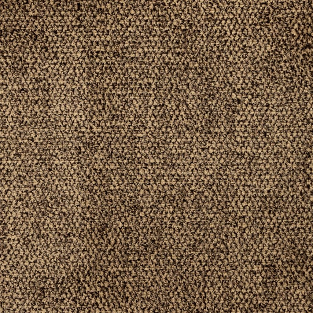 Ascot – Chinchilla