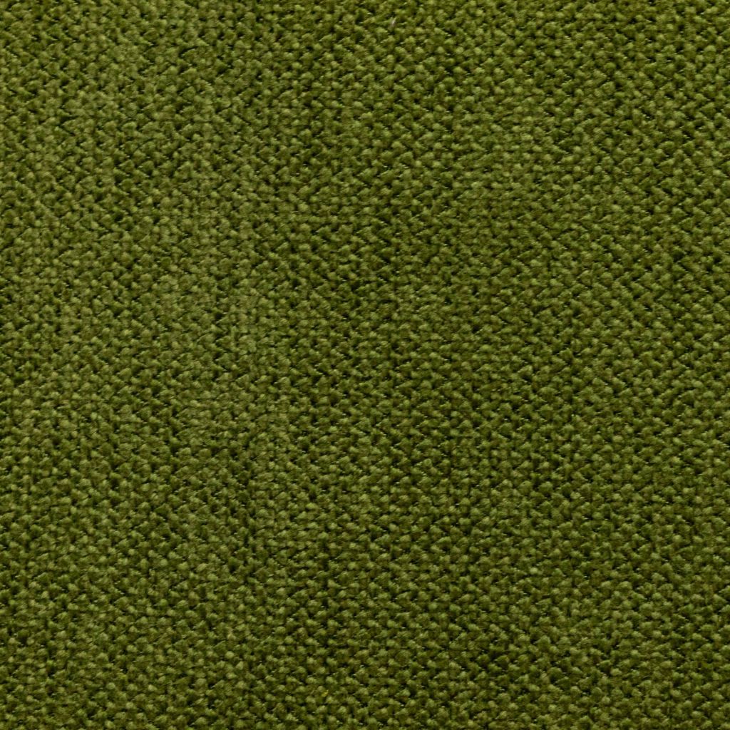 Wellington – Basil