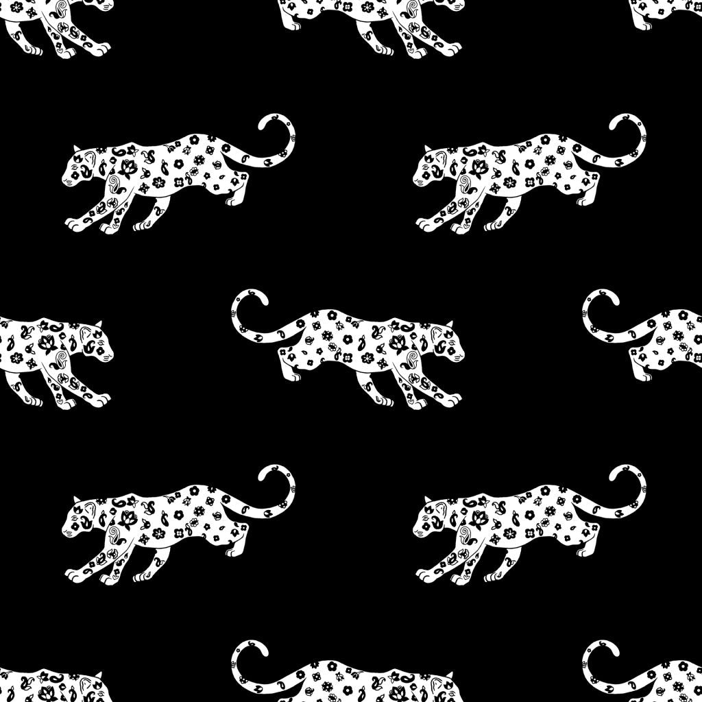 Cool Cat – Midnight