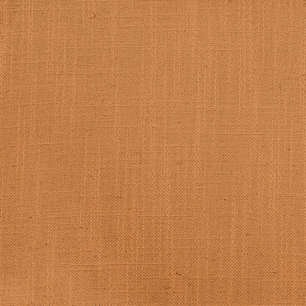 Brigadoon – Apricot