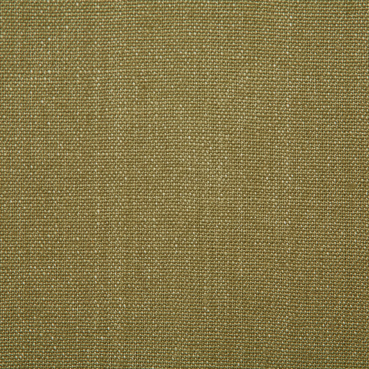 1672-westley-aloe-pindler