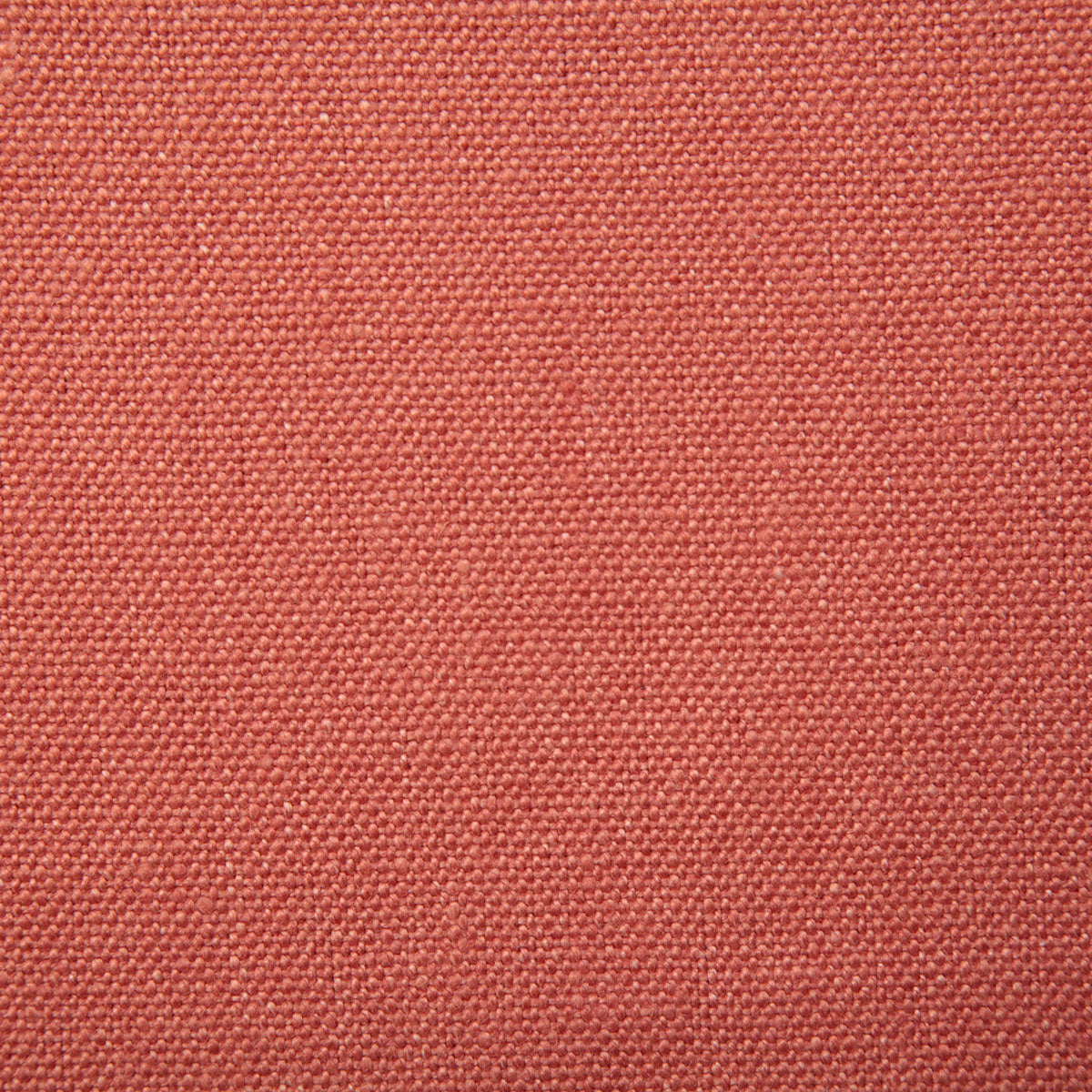 1672-westley-coral-pindler