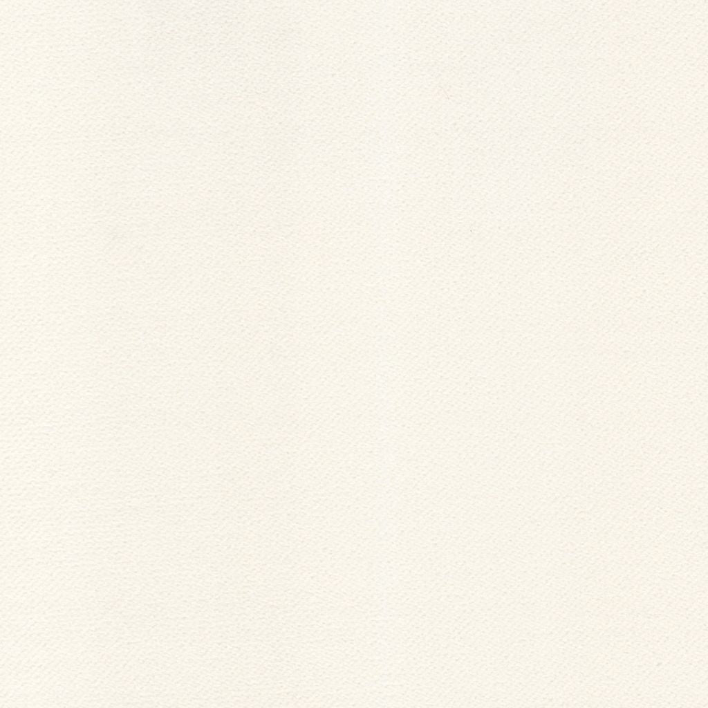 Barbados â Winter White - RM Coco Fabric