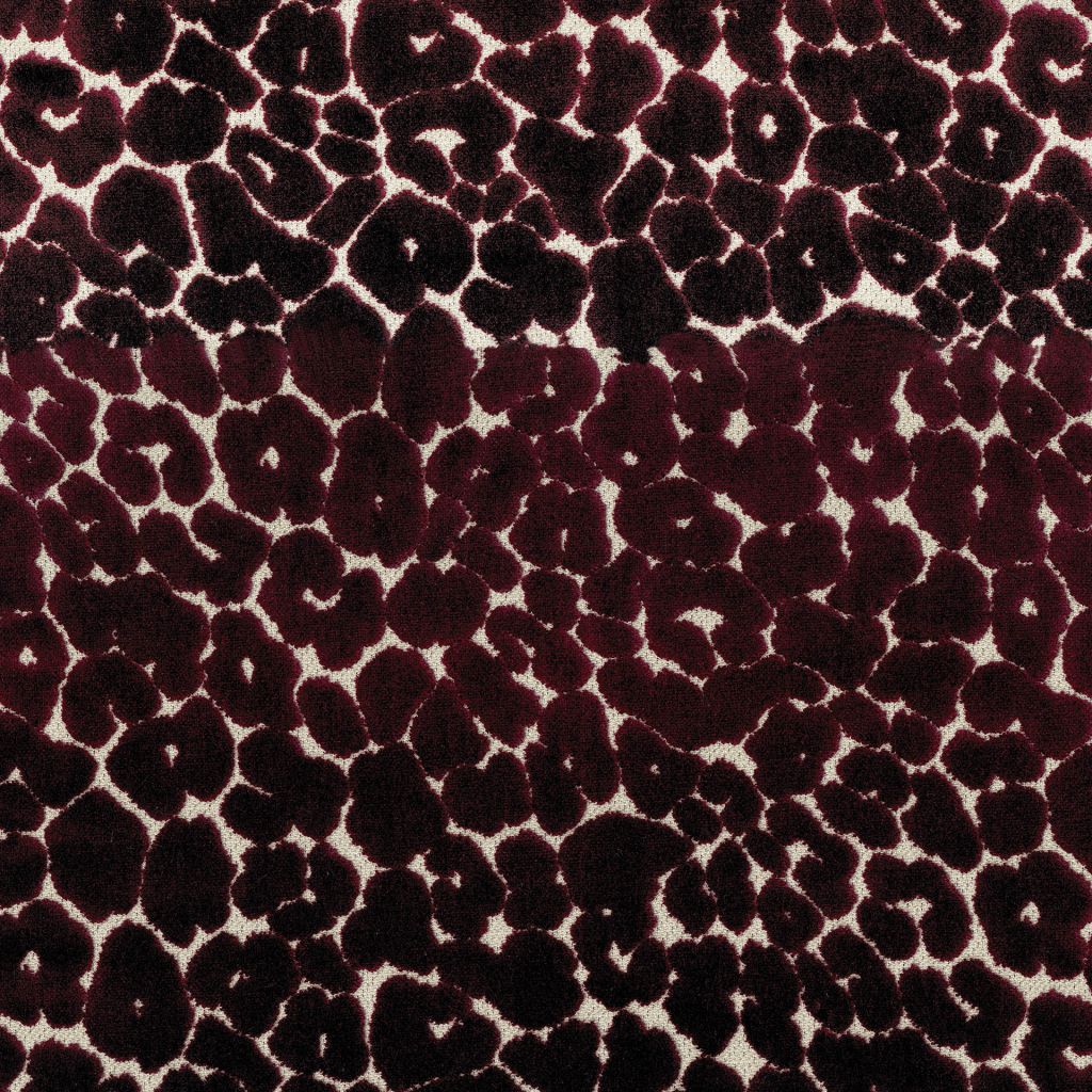 Roar â Currant