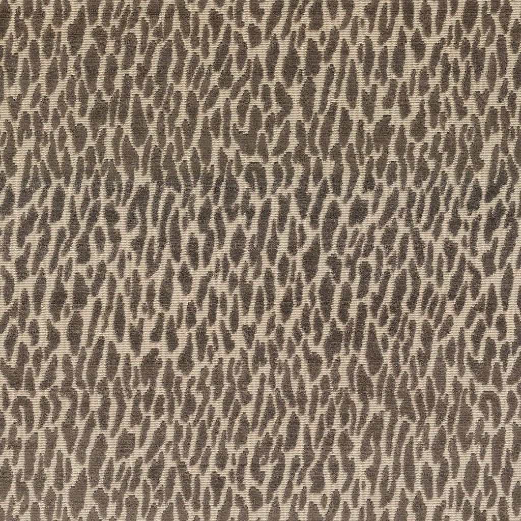 Wild Thing â Truffle