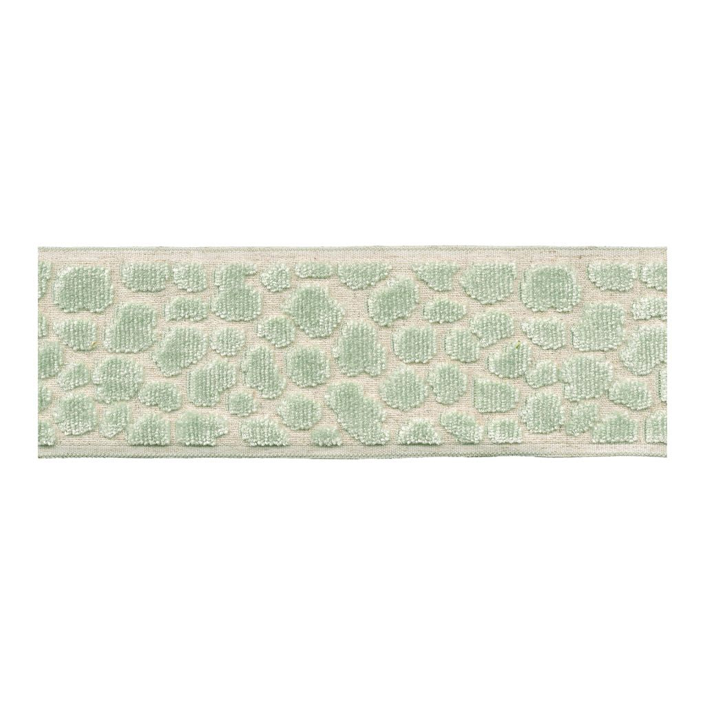 BD135 Border 3.5" â Celadon