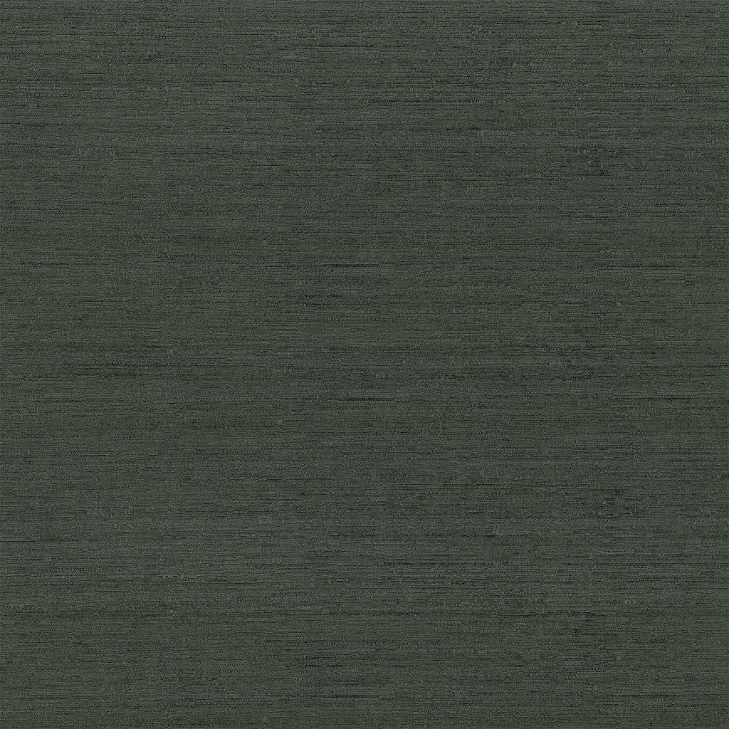 Belgique â Evergreen