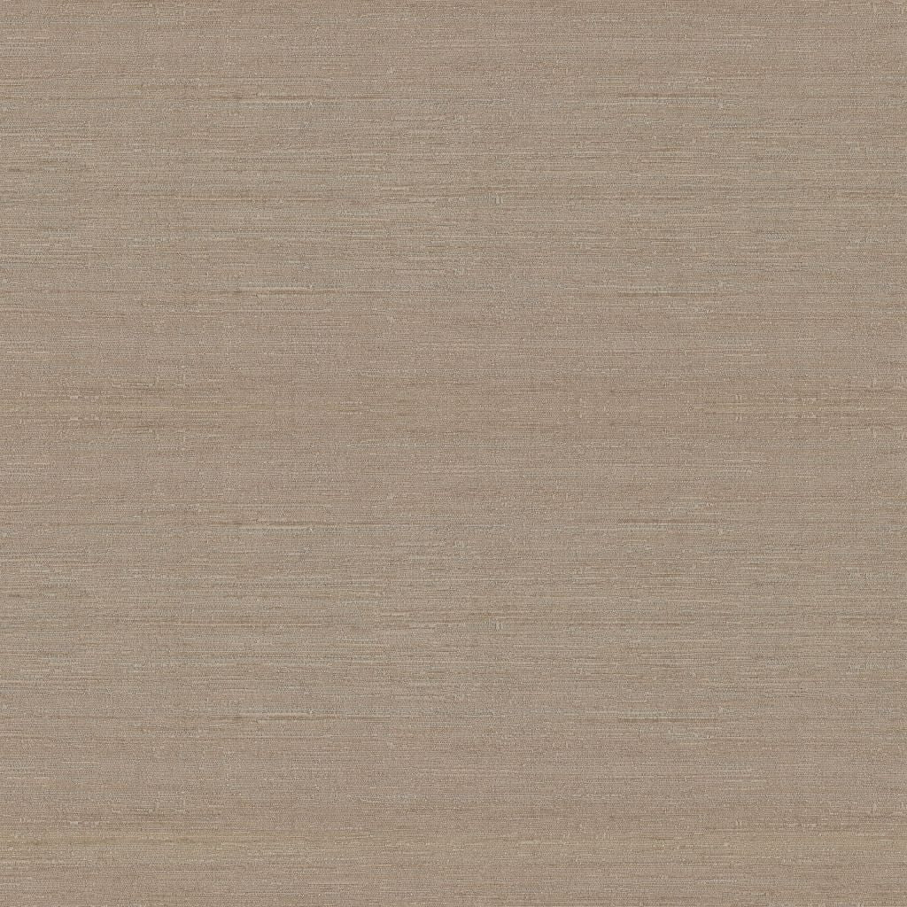 Belgique â Latte