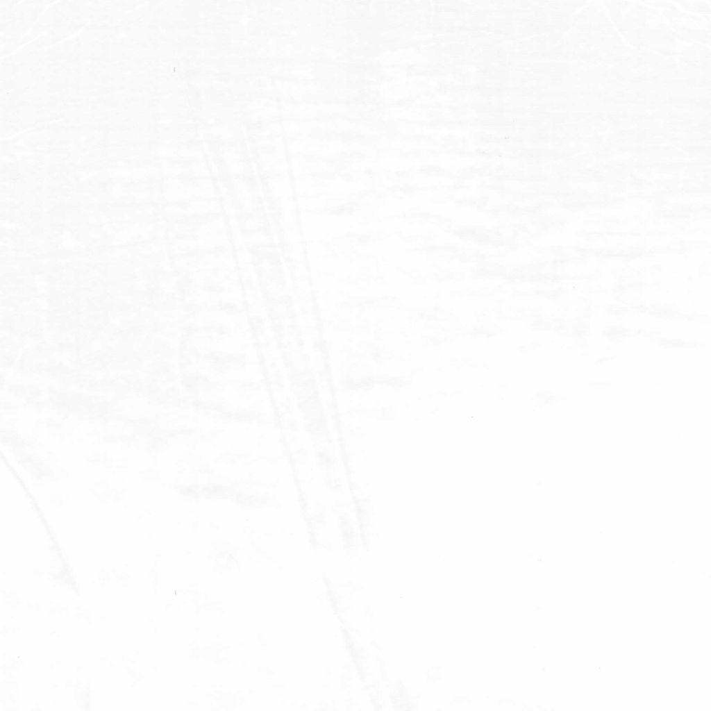 Blockbuster 130" FR Sheer – Froth RM Coco Fabric - RM Coco Fabric