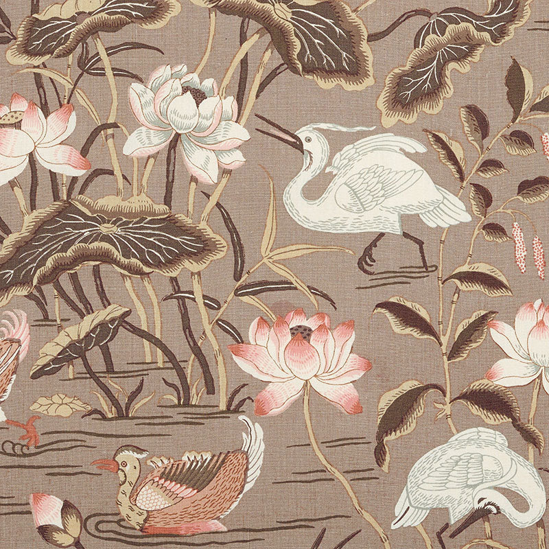 LOTUS-GARDEN-MOCHA-SCHUMACHER-172934