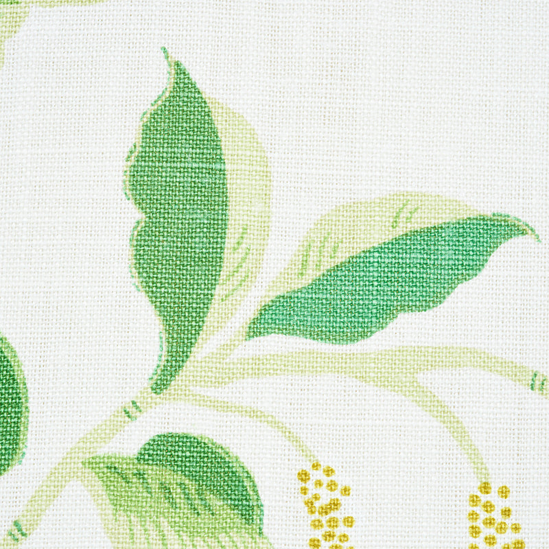 LOTUS-GARDEN-LEAF-SCHUMACHER-172939