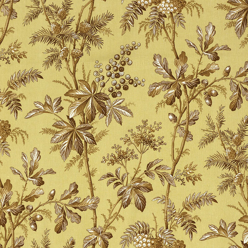 Brantwood Vine - Pear - Schumacher 174110 Fabric - Schumacher Fabric