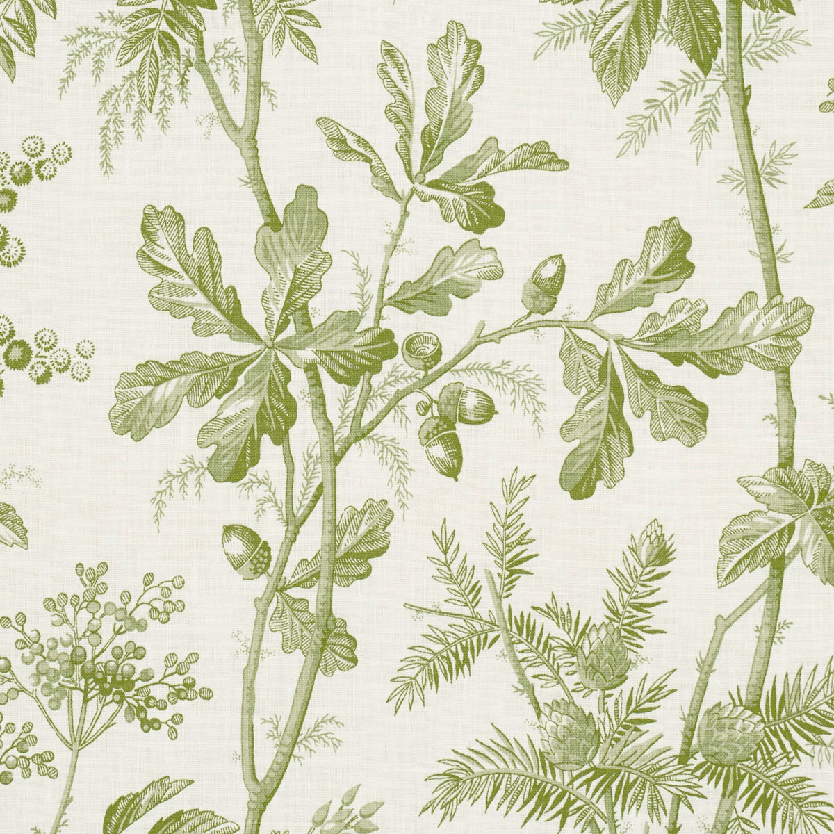 BRANTWOOD-VINE-LEAF-SCHUMACHER-174114 - Schumacher Tela