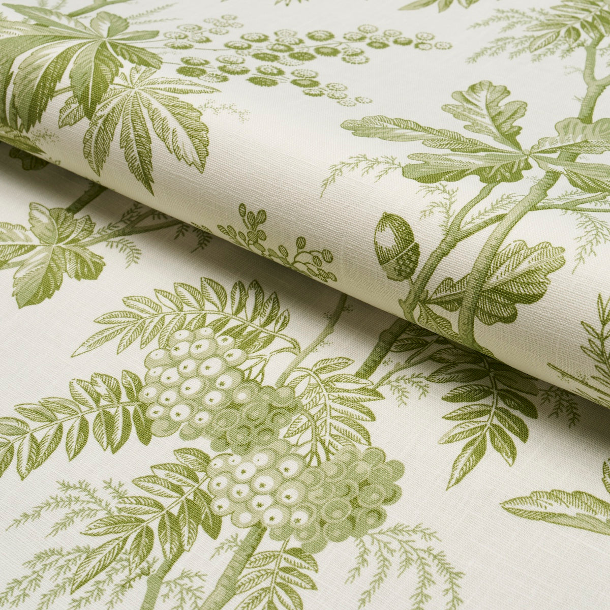 BRANTWOOD-VINE-LEAF-SCHUMACHER-174114 - Schumacher Tela