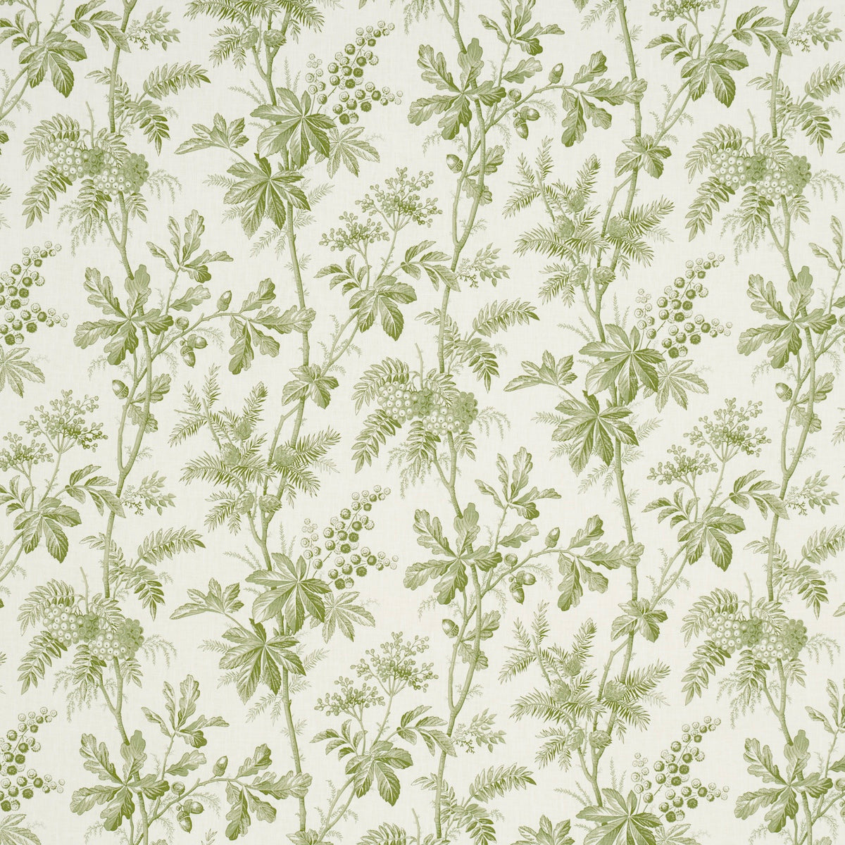 BRANTWOOD-VINE-LEAF-SCHUMACHER-174114 - Schumacher Tela