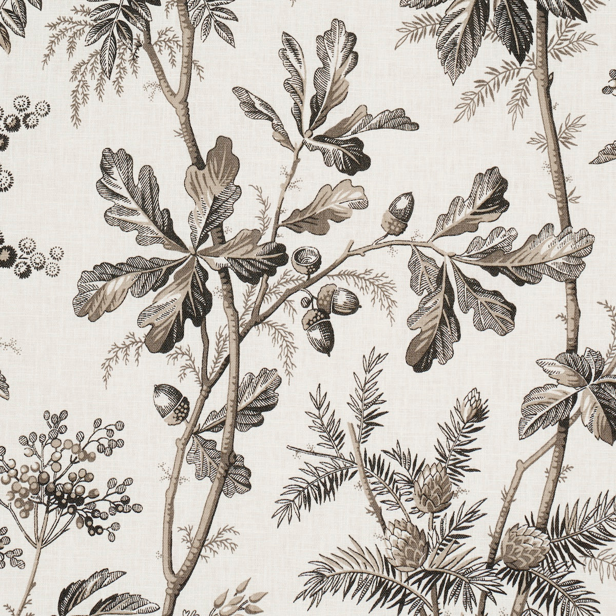 BRANTWOOD-VINE-GRAPHITE-SCHUMACHER-174115 - Schumacher Tela