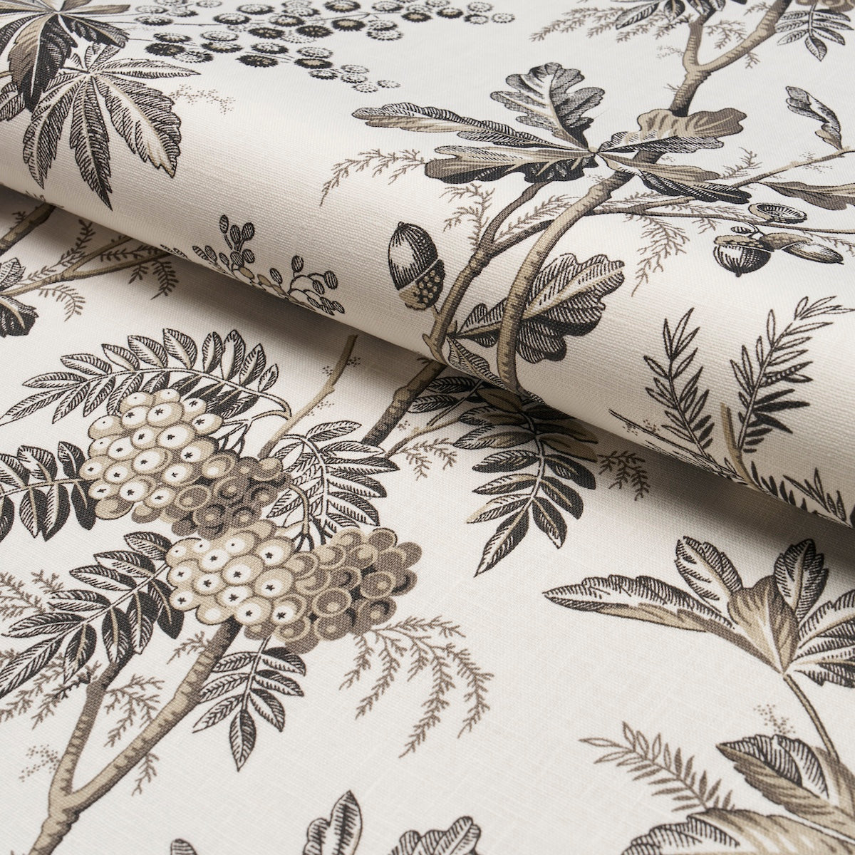 BRANTWOOD-VINE-GRAPHITE-SCHUMACHER-174115 - Schumacher Tela