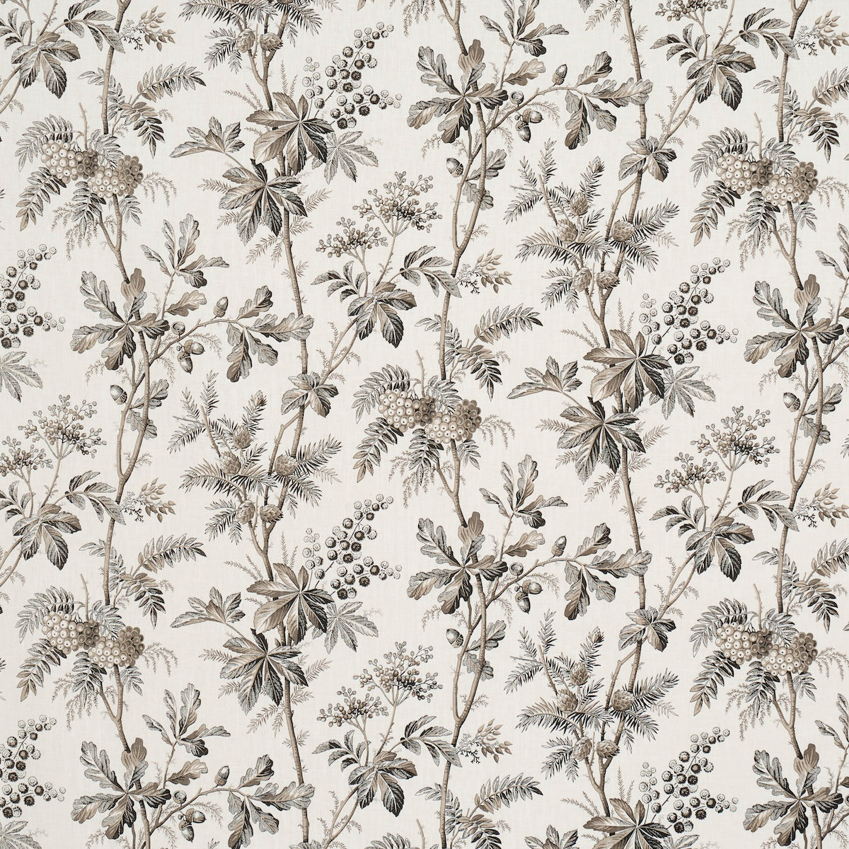 BRANTWOOD-VINE-GRAPHITE-SCHUMACHER-174115 - Schumacher Tela
