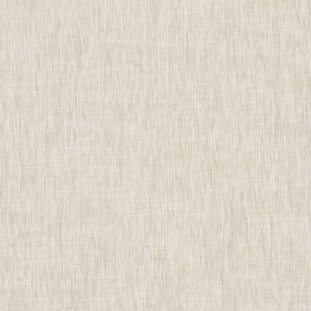 Bimini – Sand Dollar