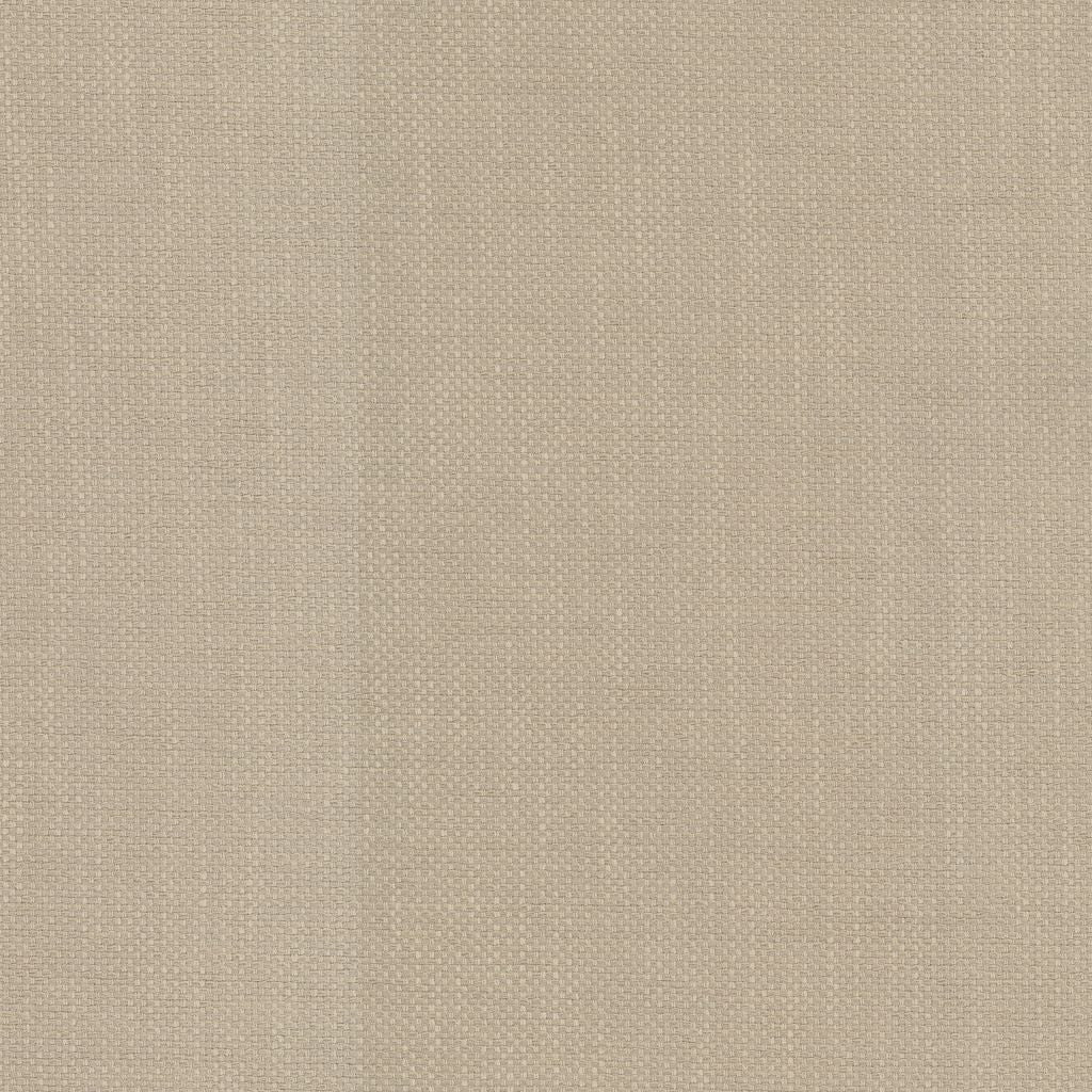 Dominica – Macadamia