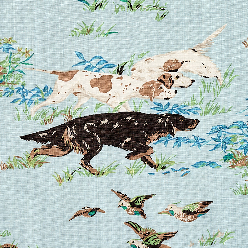 POINTERS-SKY-SCHUMACHER-175161 - Schumacher Tela
