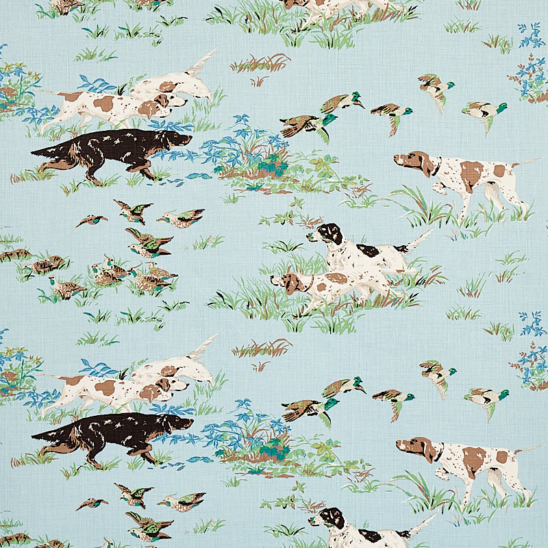 POINTERS-SKY-SCHUMACHER-175161 - Schumacher Tela