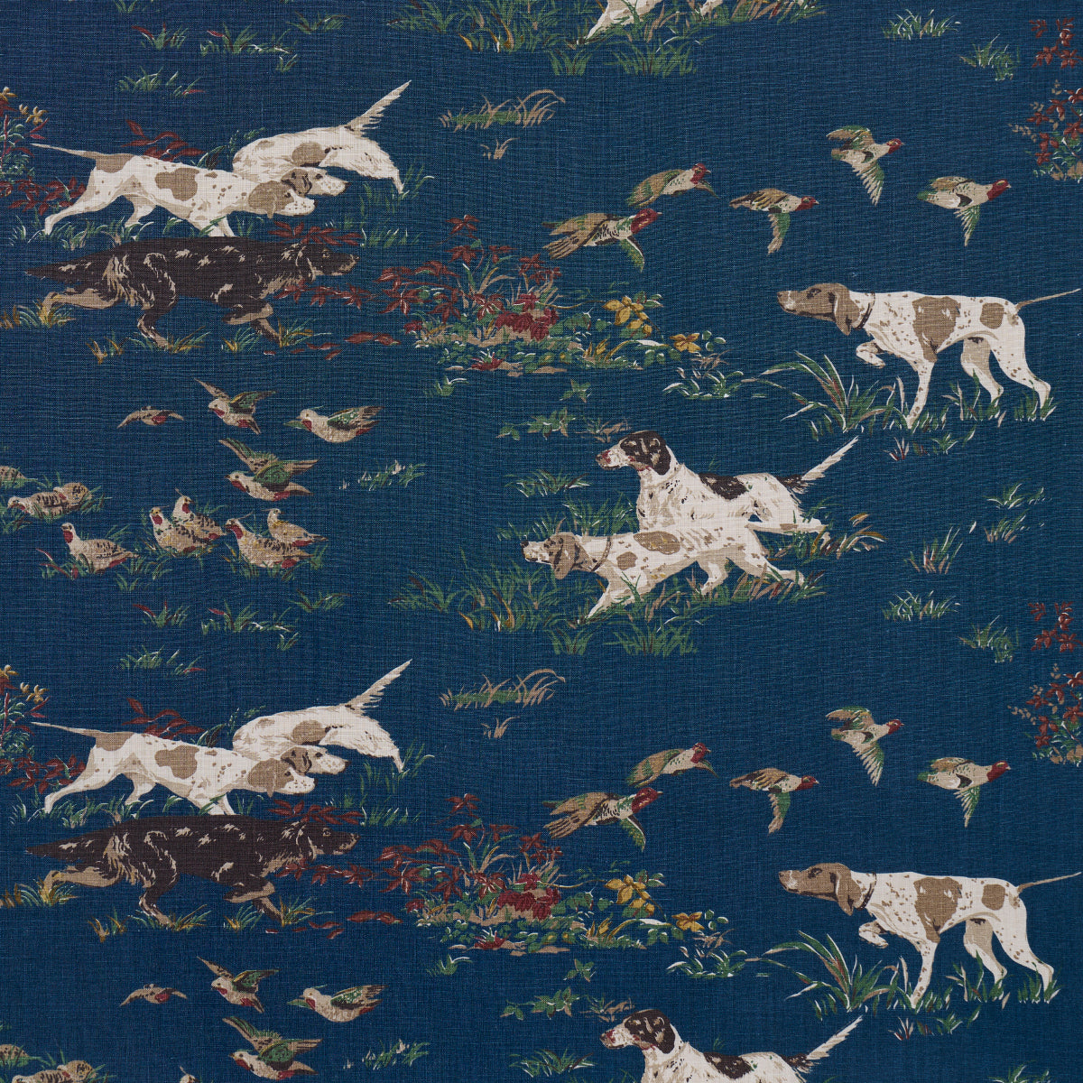 POINTERS-INDIGO-SCHUMACHER-175163 - Schumacher Tela