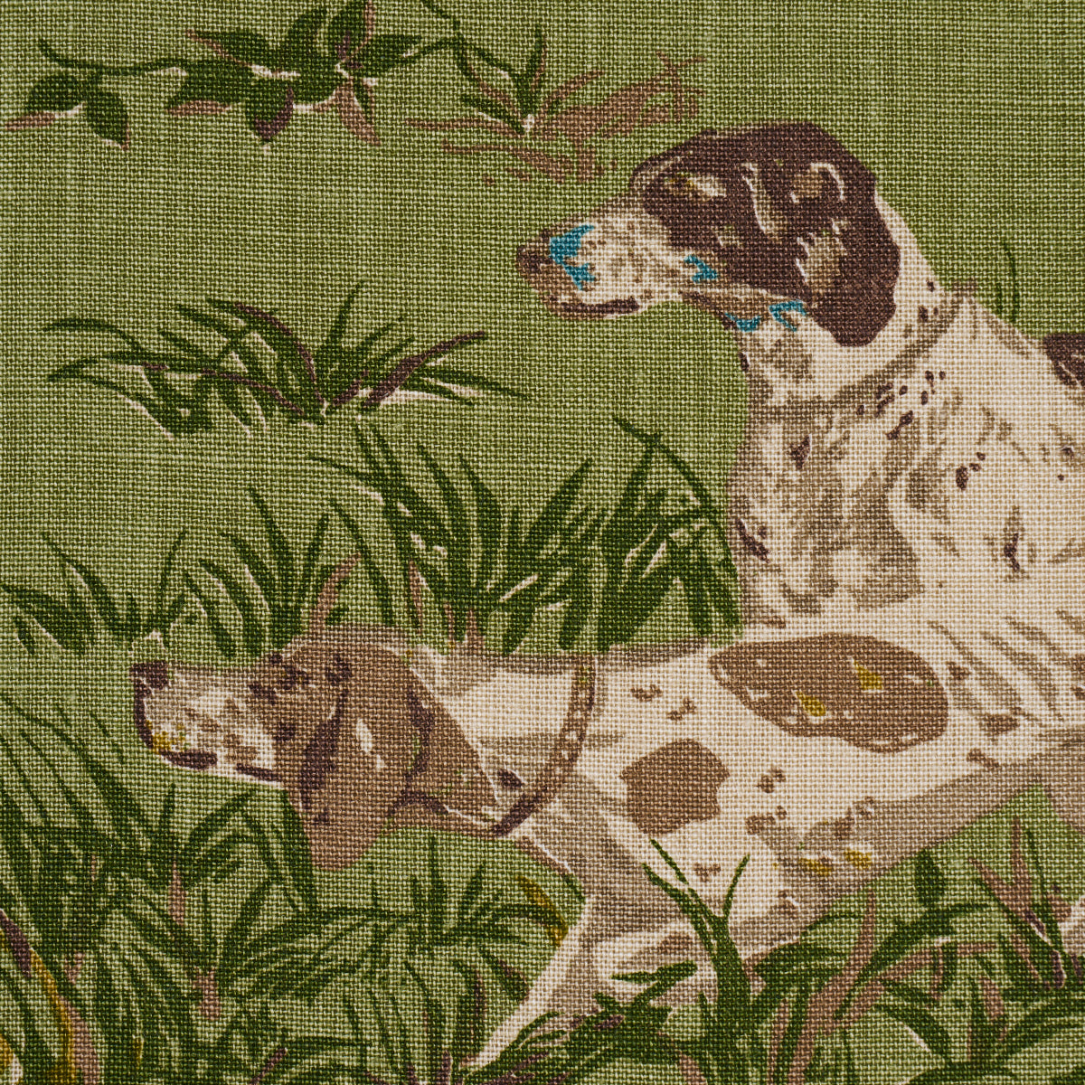 POINTERS-MEADOW-SCHUMACHER-175164 - Schumacher Tela