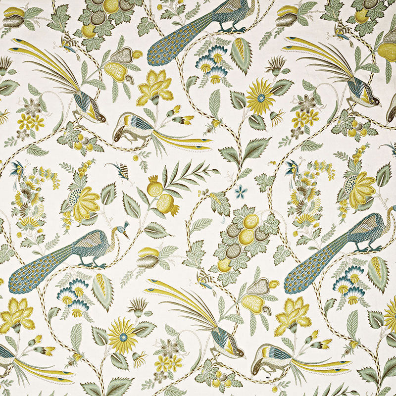 CAMPAGNE-CADET-CITRON-SCHUMACHER-175951