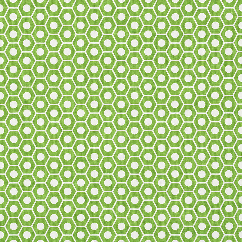 QUEEN-B-GREEN-SCHUMACHER-177075