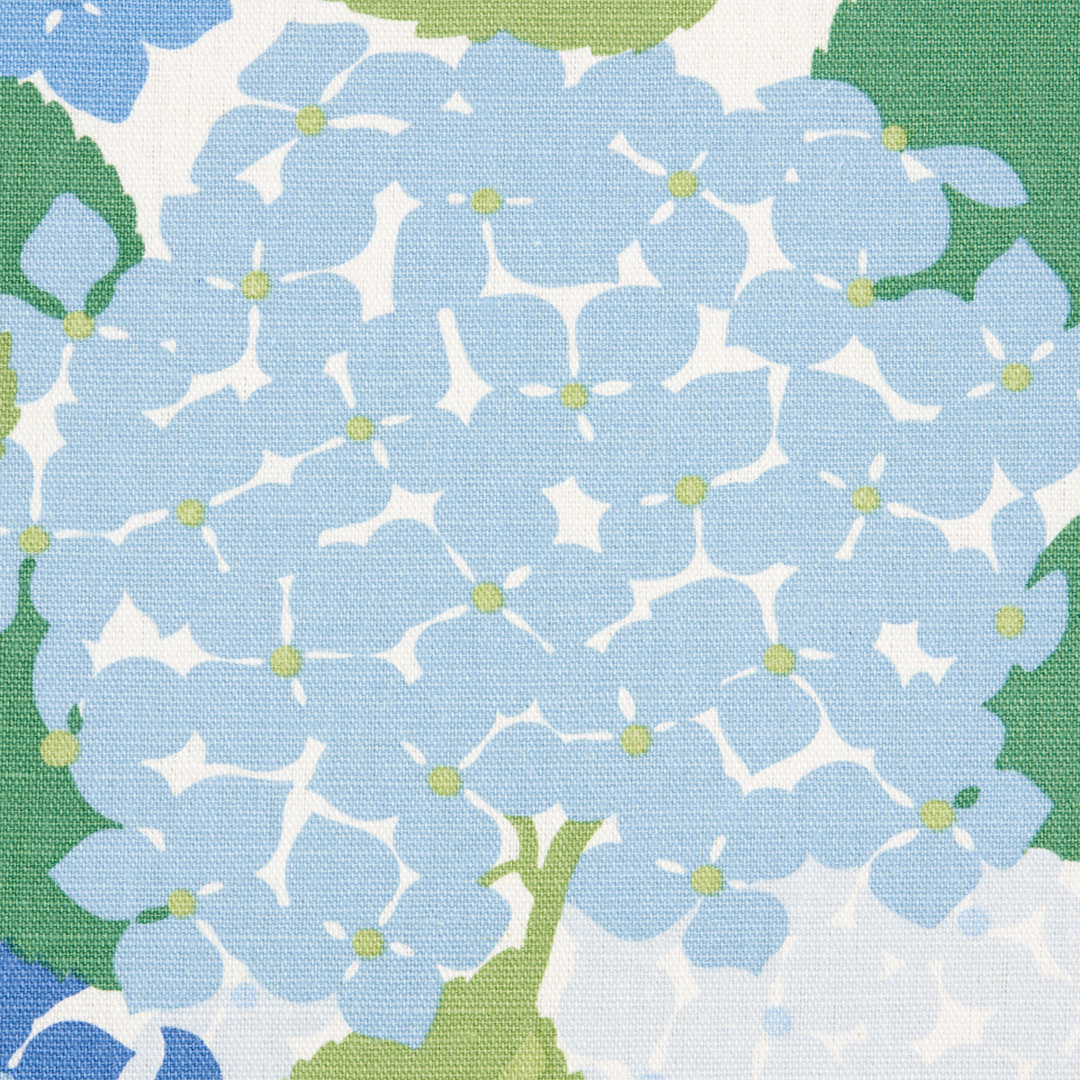 HYDRANGEA-PORCELAIN-SCHUMACHER-177583