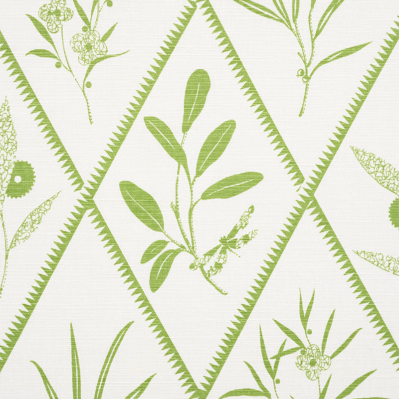 ENDIMIONE-LEAF-SCHUMACHER-177641