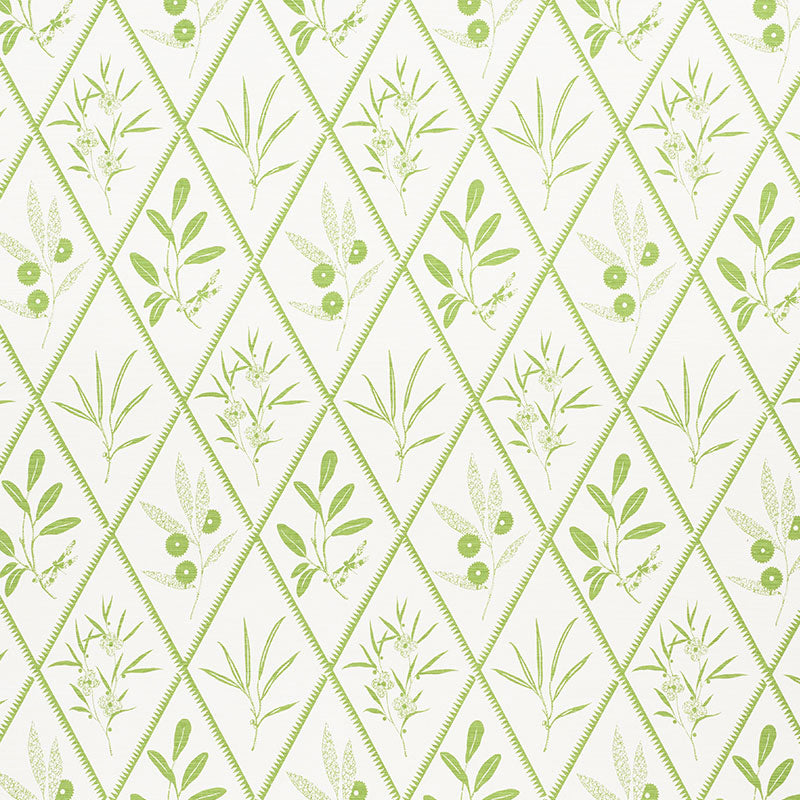 ENDIMIONE-LEAF-SCHUMACHER-177641