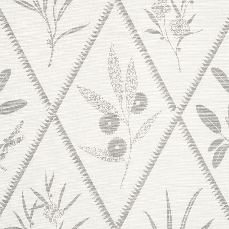 ENDIMIONE-GREY-SCHUMACHER-177642