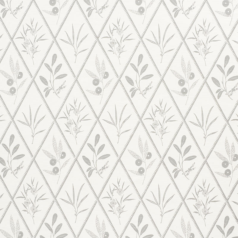 ENDIMIONE-GREY-SCHUMACHER-177642