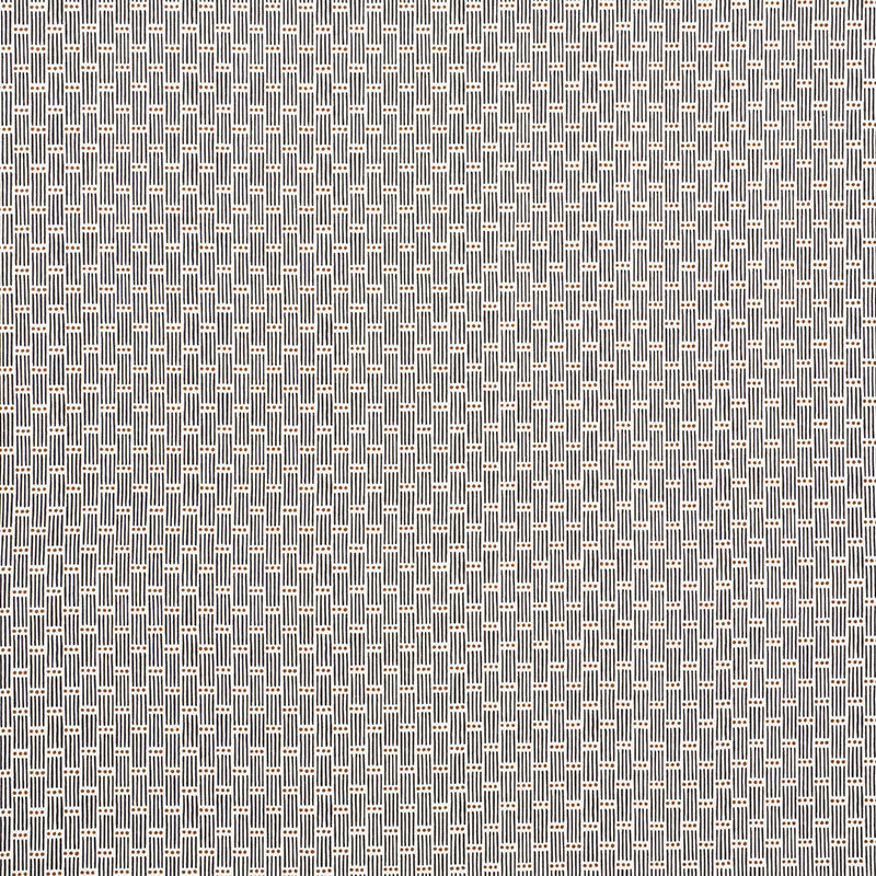DOTTED-STRIPE-CARBON-SCHUMACHER-177710
