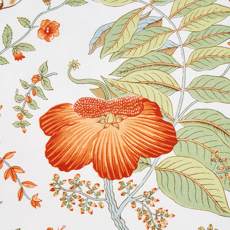 POMEGRANATE-BOTANICAL-ORANGE-SCHUMACHER-178122
