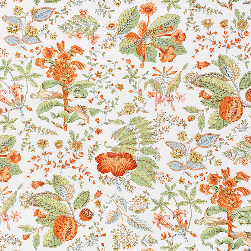 POMEGRANATE-BOTANICAL-ORANGE-SCHUMACHER-178122