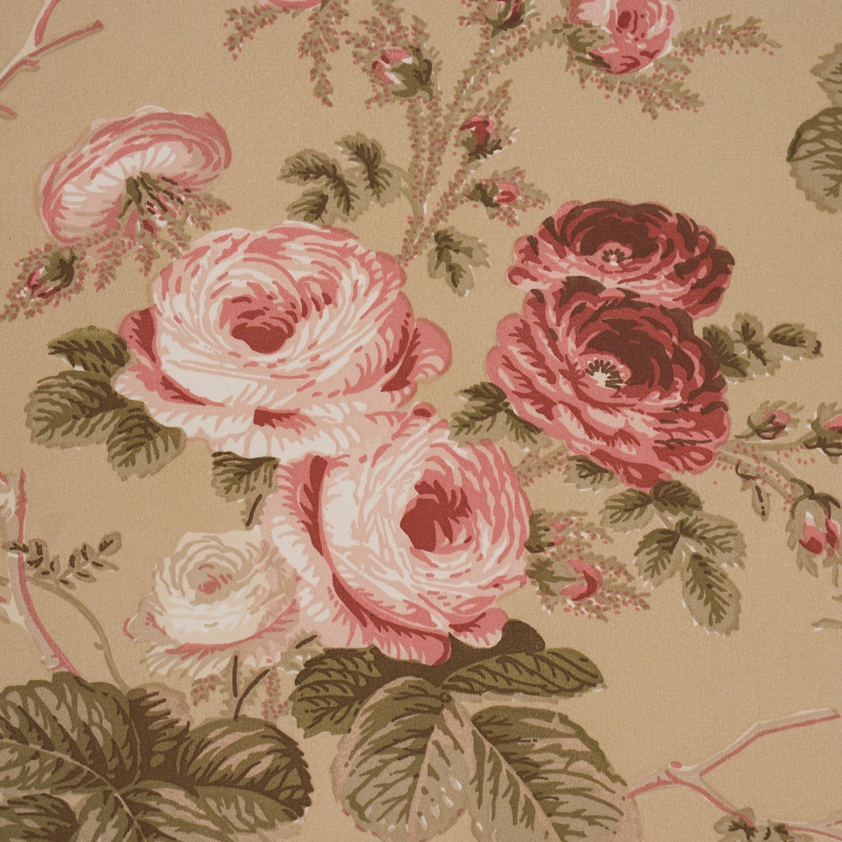 Salisbury Chintz - Tobacco - Schumacher 178158 Fabric - Schumacher Fabric