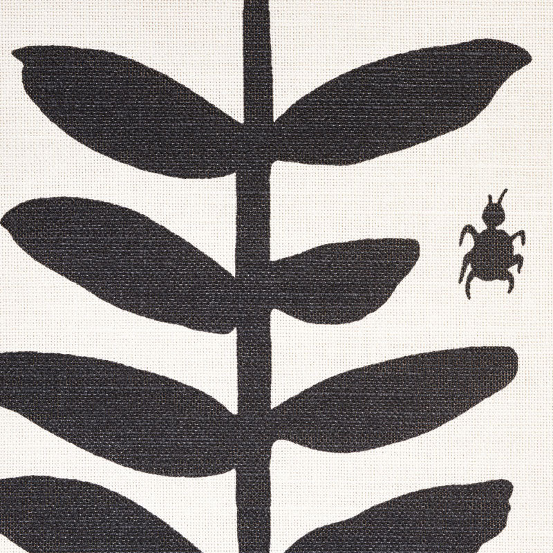 WILD-THINGS-BLACK-SCHUMACHER-178250