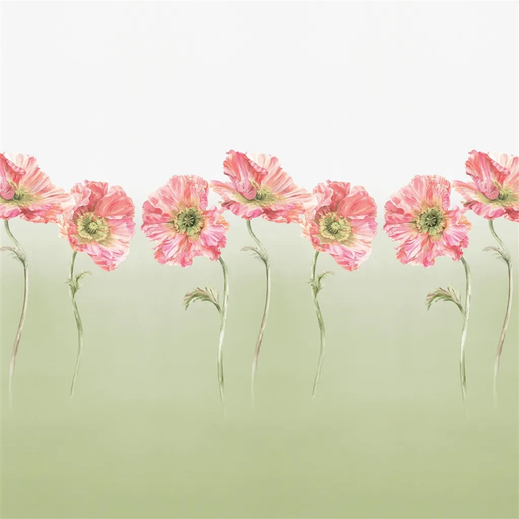 Coquelicot Sage Wallpaper