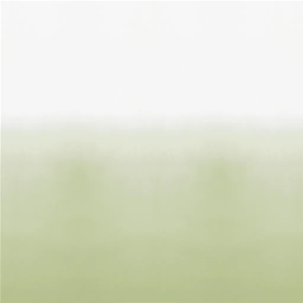 Coquelicot Ombre Sage Wallpaper