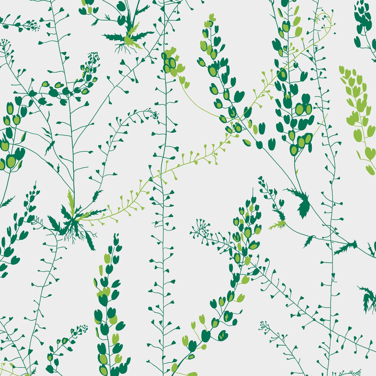 Bladranker - Leaf - Schumacher 1787 Wallcovering