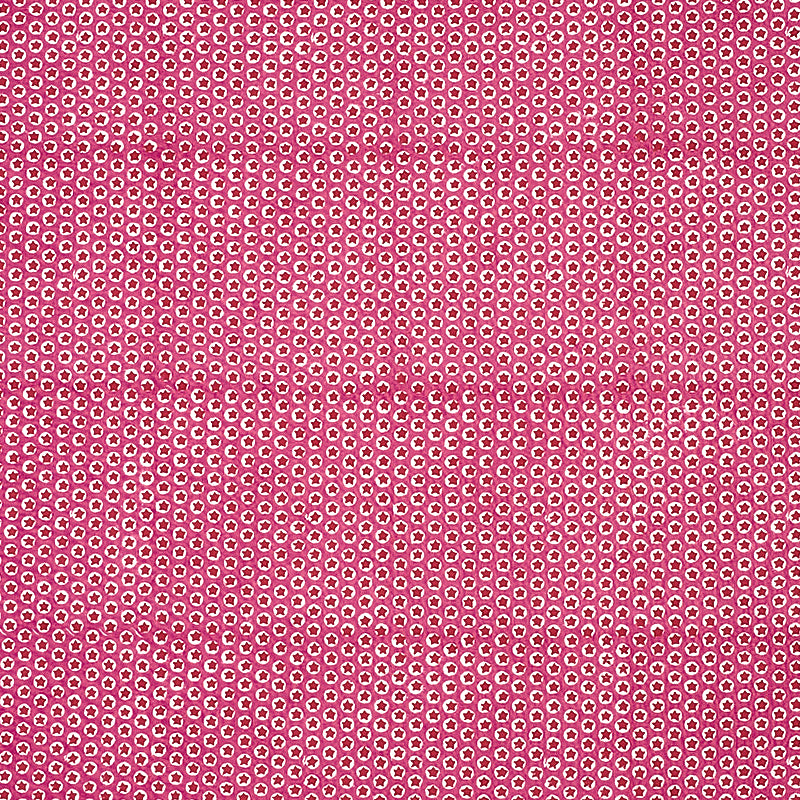TUK-TUK-HAND-BLOCK-PRINT-PINK-SCHUMACHER-179220