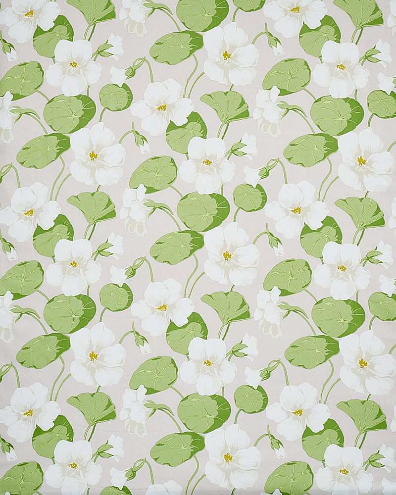 NASTURTIUM-STONE-SCHUMACHER-179492